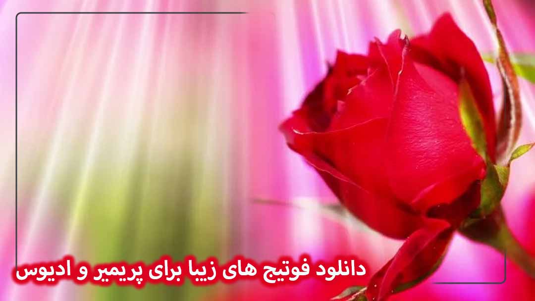 دانلود فوتیج های زیبا 